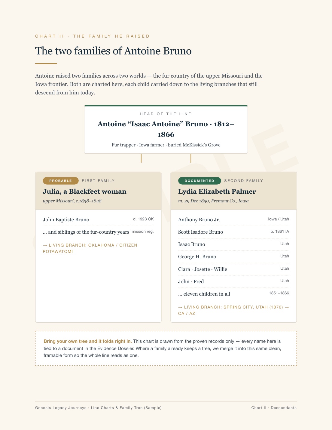Sample Line Chart — family tree page
